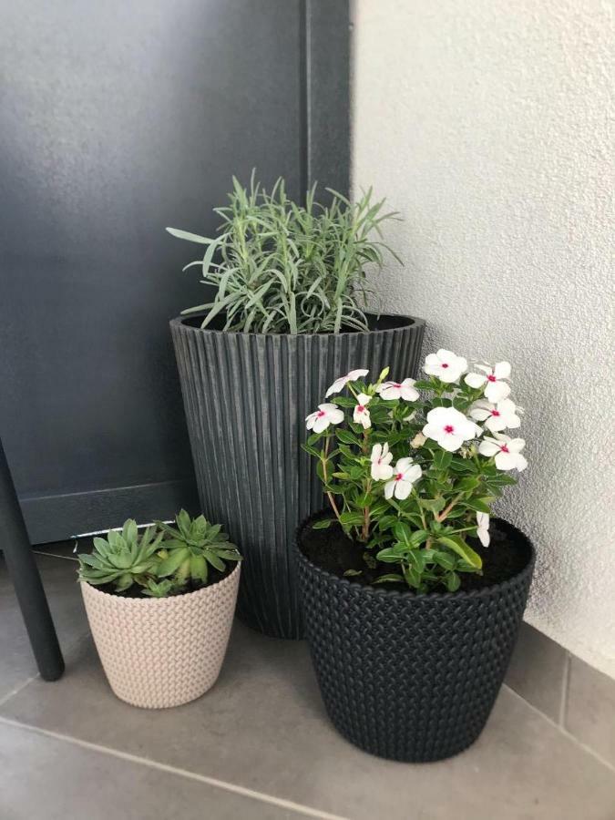 אורדאה Premier Apartment Luceafarul מראה חיצוני תמונה