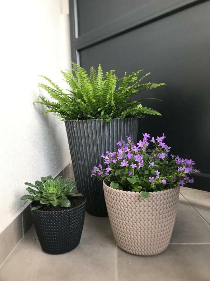 אורדאה Premier Apartment Luceafarul מראה חיצוני תמונה